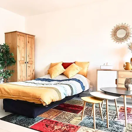 公寓 Studio Cosy Erbalunga